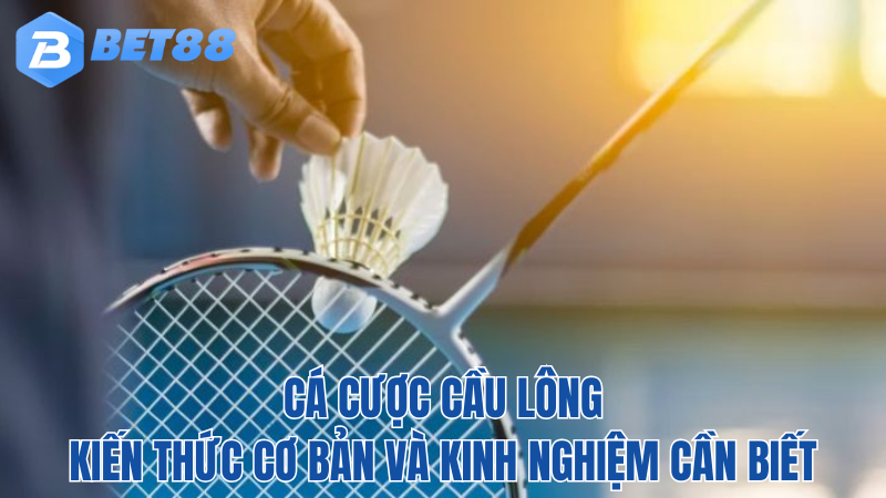 BET88-cau-long-kien-thuc-can-biet-2024