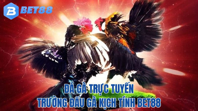 BET88-da-ga-truc-tuyen-dau-truong-moi-nhat